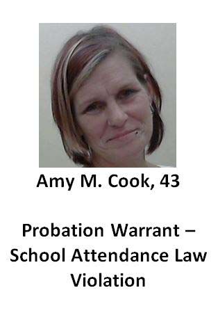 Amy Cook
